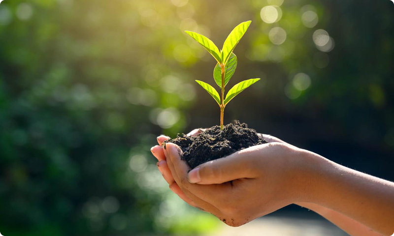 Newsletter March 2025: GEMA goes Green