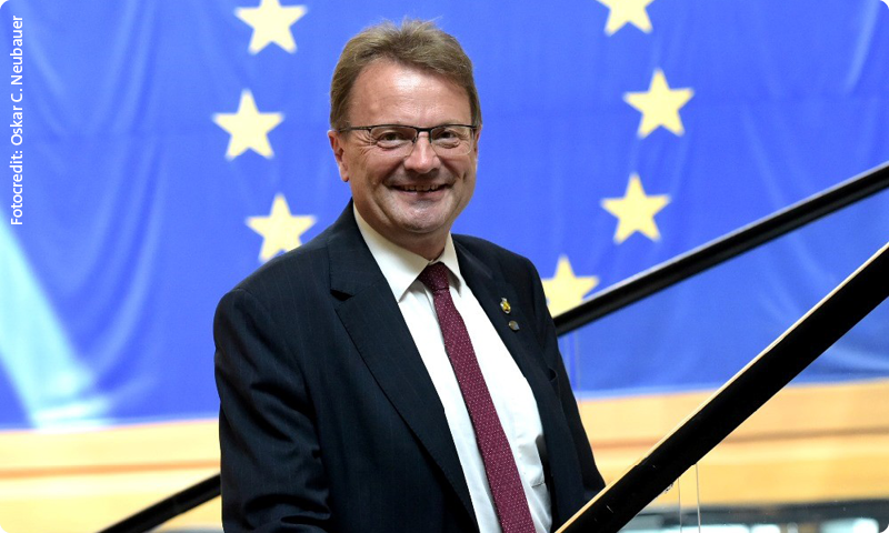 Hannes Heide, Mitglied des Europäischen Parlaments